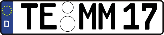 TE-MM17