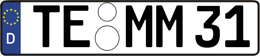 TE-MM31