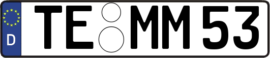 TE-MM53