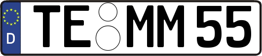 TE-MM55