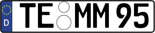 TE-MM95