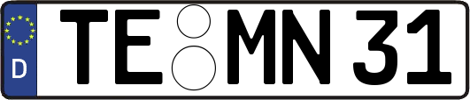TE-MN31