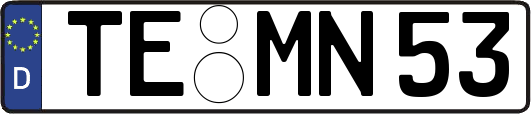 TE-MN53