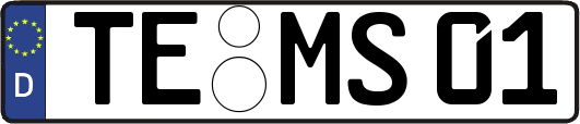 TE-MS01