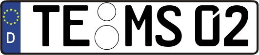 TE-MS02