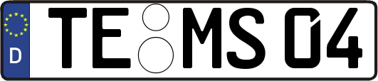 TE-MS04