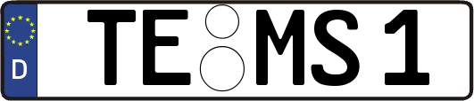 TE-MS1