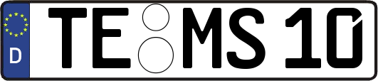 TE-MS10