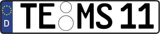 TE-MS11