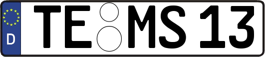 TE-MS13