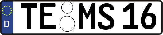 TE-MS16