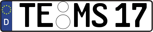 TE-MS17