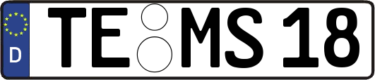 TE-MS18