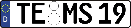 TE-MS19