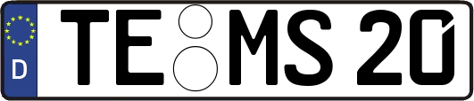 TE-MS20