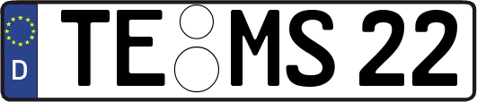 TE-MS22