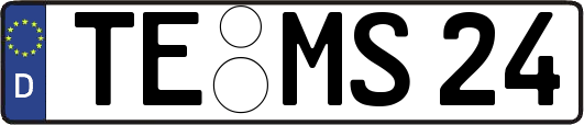 TE-MS24