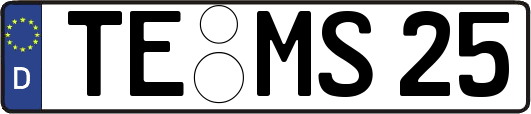 TE-MS25