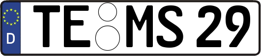 TE-MS29