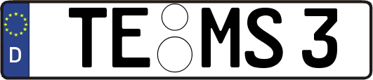 TE-MS3