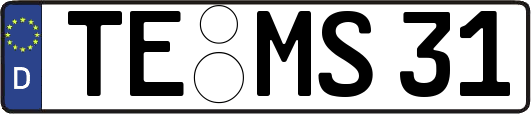 TE-MS31