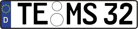 TE-MS32