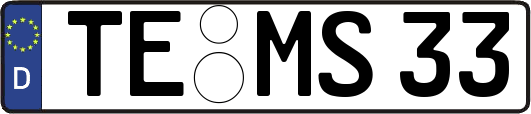 TE-MS33