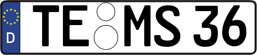 TE-MS36