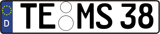 TE-MS38