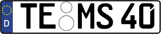 TE-MS40