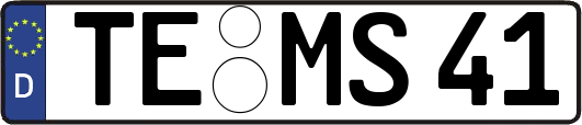 TE-MS41