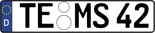 TE-MS42