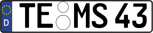 TE-MS43