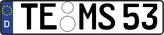 TE-MS53