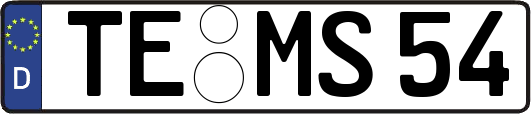 TE-MS54