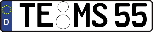 TE-MS55