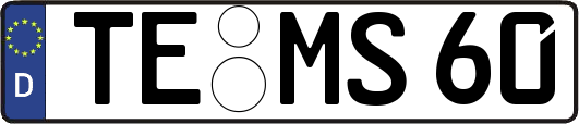 TE-MS60