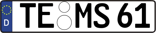 TE-MS61