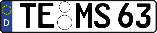 TE-MS63
