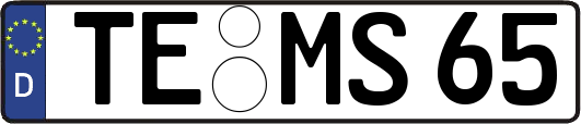 TE-MS65