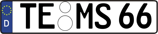 TE-MS66