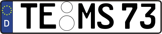 TE-MS73