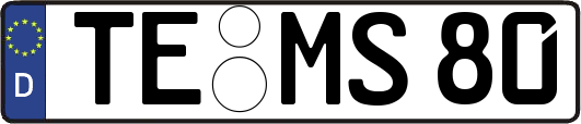 TE-MS80