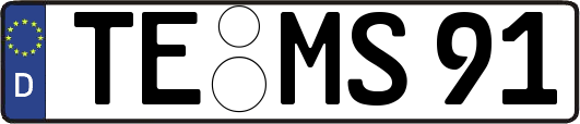 TE-MS91