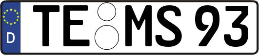 TE-MS93