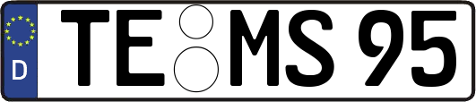 TE-MS95