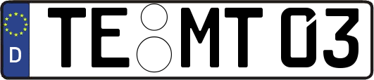 TE-MT03