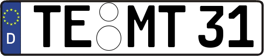 TE-MT31