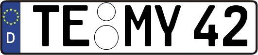 TE-MY42