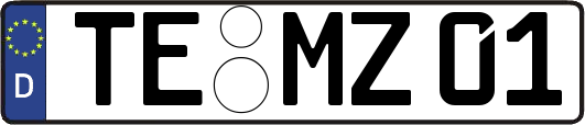 TE-MZ01